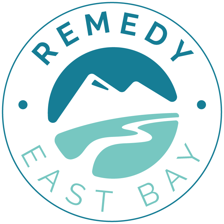 Remedy Restoration logo featuring a stylized design, relevant to biohazard cleanup Boise services.